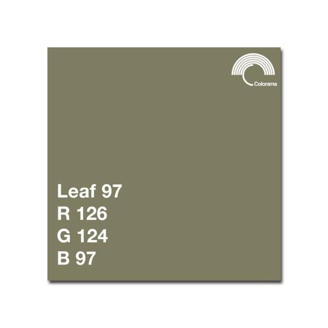 COLORAMA 197 LEAF  2.72 X 11 M.
