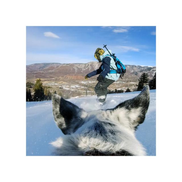 GOPRO HERO FETCH DOG HARNESS