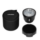 PROF101308-LANG1-dc147ac3-bd3b-4626-9ca8-5c07dbe47339