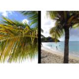 FUJIXHF1CHARCOAL-LANG1-e081cba1-e673-487e-8530-5c96b737994e