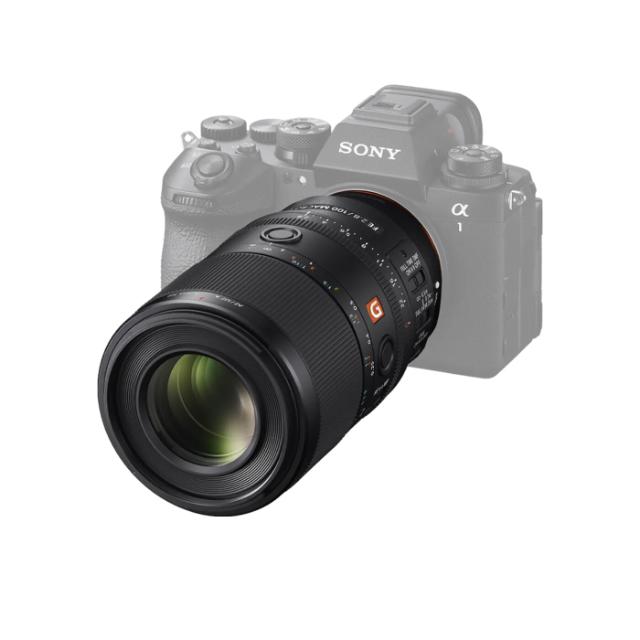 SONY (E) FE 100MM F/2,8 MACRO GM OSS