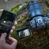 CANDRF24105-LANG1-eb6d2f9e-d648-4f0f-8e6f-e7cb10d692bf