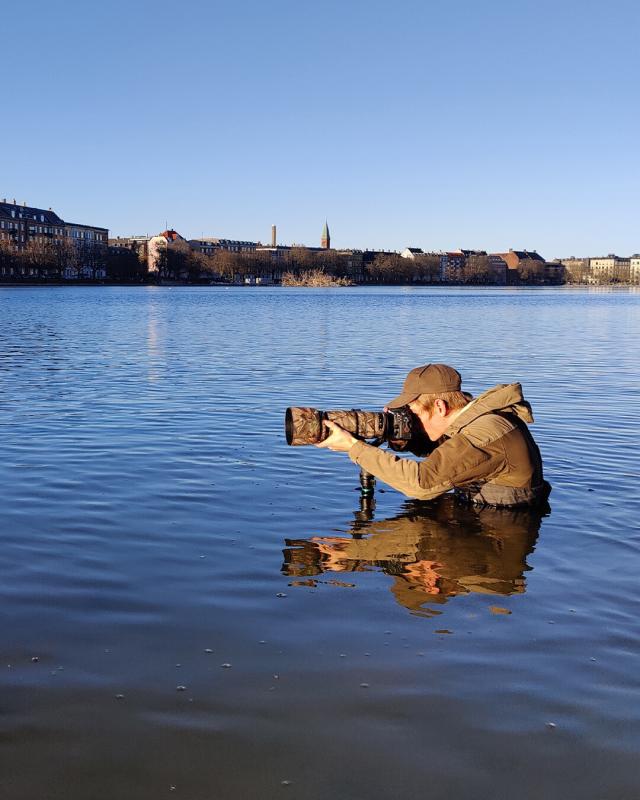 VANDFUGL - MADS HAGEN