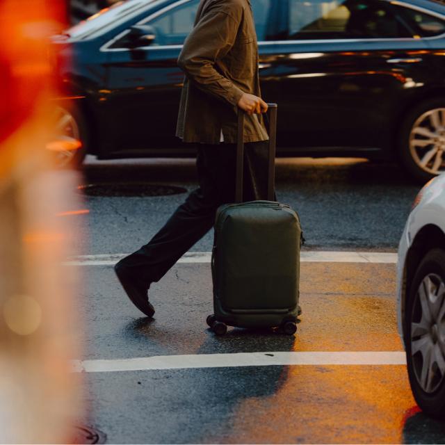 Peak Design Roller Pro Carry-On, Sage w/ Cube