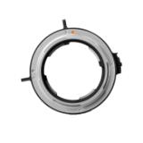 DZO-TP-MPLAZ-LANG1-f89a4a9a-26a3-48f8-a4a8-3ca6c1160708