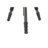 SIRR2204-LANG1-fa9ee4fe-441a-407c-966a-56d7155b491d